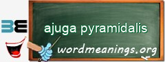 WordMeaning blackboard for ajuga pyramidalis